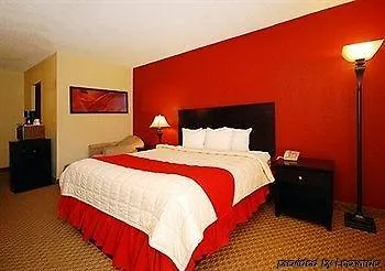Red Roof Airport Hotel 3*